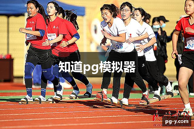 知道pg模拟器